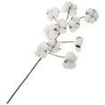 thumbnail image 1 of Raindrops 4pcs Natural White Cotton Stems Dried Flower Branch Floral Decor 10 Dried Cotton Stems Simulation Flower for Fall Arrangements Farmhouse Style Floral Furniture Wedding Christmas, 1 of 1