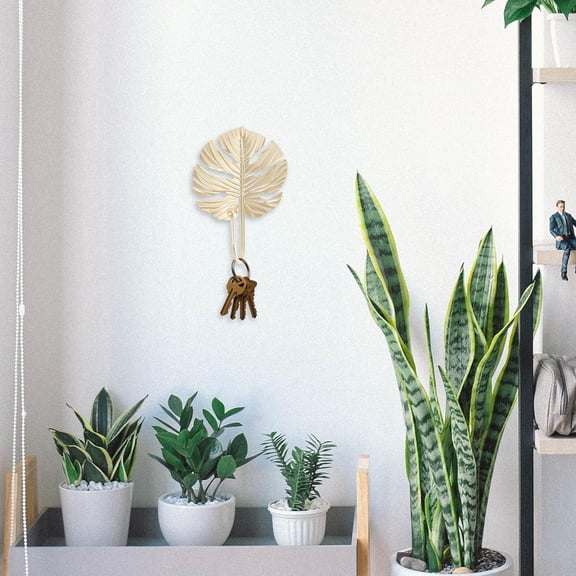 Raindrops  5 Pcs Hangers Wall Mount Coat Hooks up Random Style Home Decor