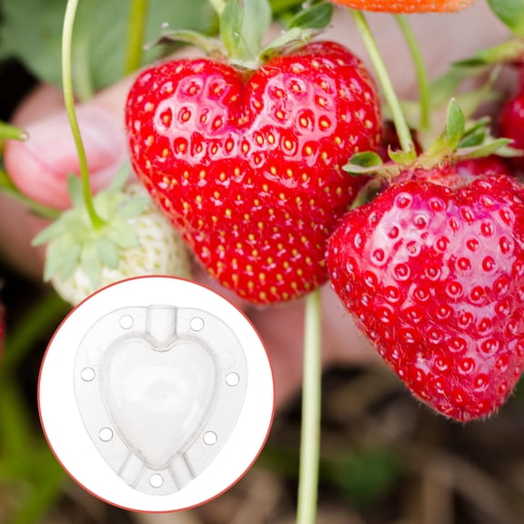 Raindrops  5 Pcs Heart Fruit Growth Molds Growing Stereotypes Fruits White