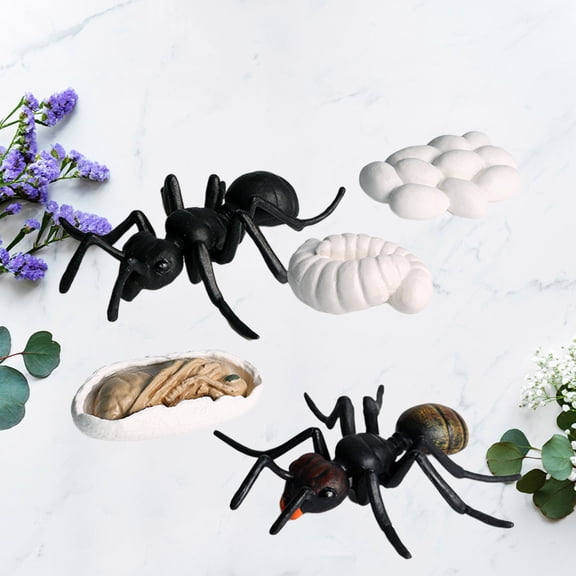 Raindrops 5Pcs Artificial Simulation Animal Model for Decoration Black Material Easy to Clean and