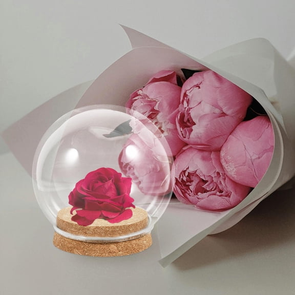 Raindrops 5Pcs Glass Domes Crafts for Figurines with Cork Base