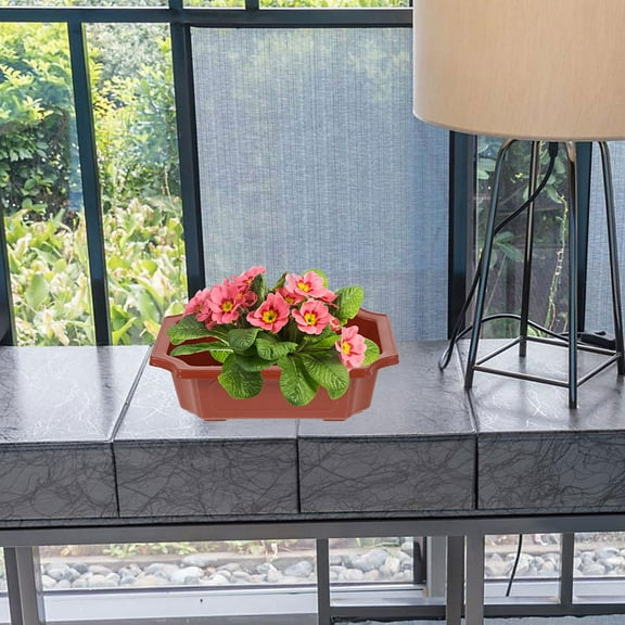 Raindrops 6 Pcs Succulent Planter Leaf-viewing Bonsai Compact Flowerpots