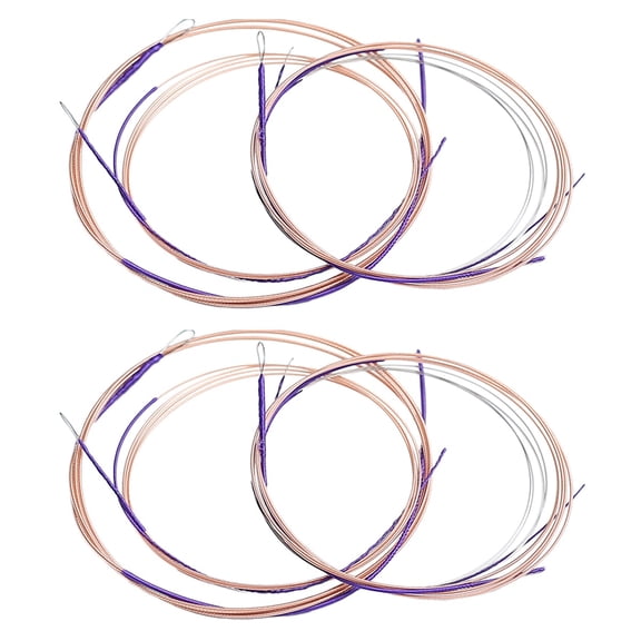 Raindrops 8 Pcs  Professional Strings for Pipa Practical Chinese Pipa Strings Chinese Lute Practice Strings