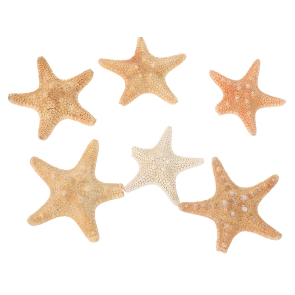 Raindrops Aquarium Decor Ornaments Sea Star Decoration Synthetic Material Beach Scene 6Pcs