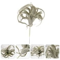 thumbnail image 1 of Raindrops Artificial Pineapple Grass Tillandsia Bromeliads Air Plants Succulants Greenery, 1 of 5