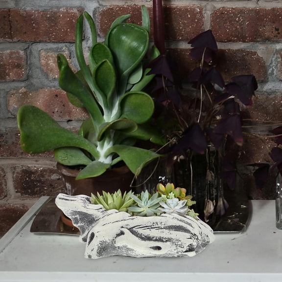 FOMIYES Grey Cement Bonsai Planter with Unique Artistic Design, Perfect for Indoor Plant Storage and Home Decor