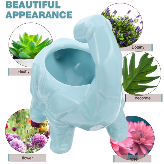 Raindrops  Ceramic Flowerpot Cartoon Shaped Planter Premium Material