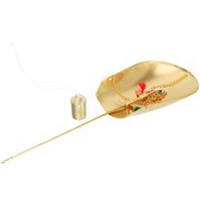 LABRIMP Chinese Medicine Weighing Scale Handheld Scale 500g Golden Copper