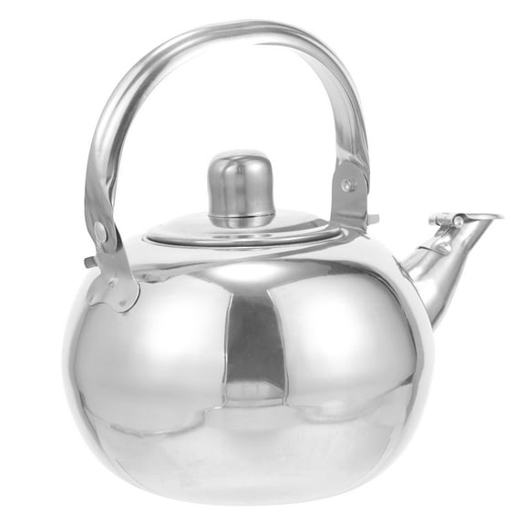 Houderco Silver Tea Pot 1Set Stainless Steel for Metal Tea Infuser