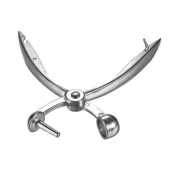 Raindrops Easily Remove Cherry Pits with Silver Aluminium Alloy Pitter Tool for Fruit, Perfect Gift for Cooking, Size 0.75 inches