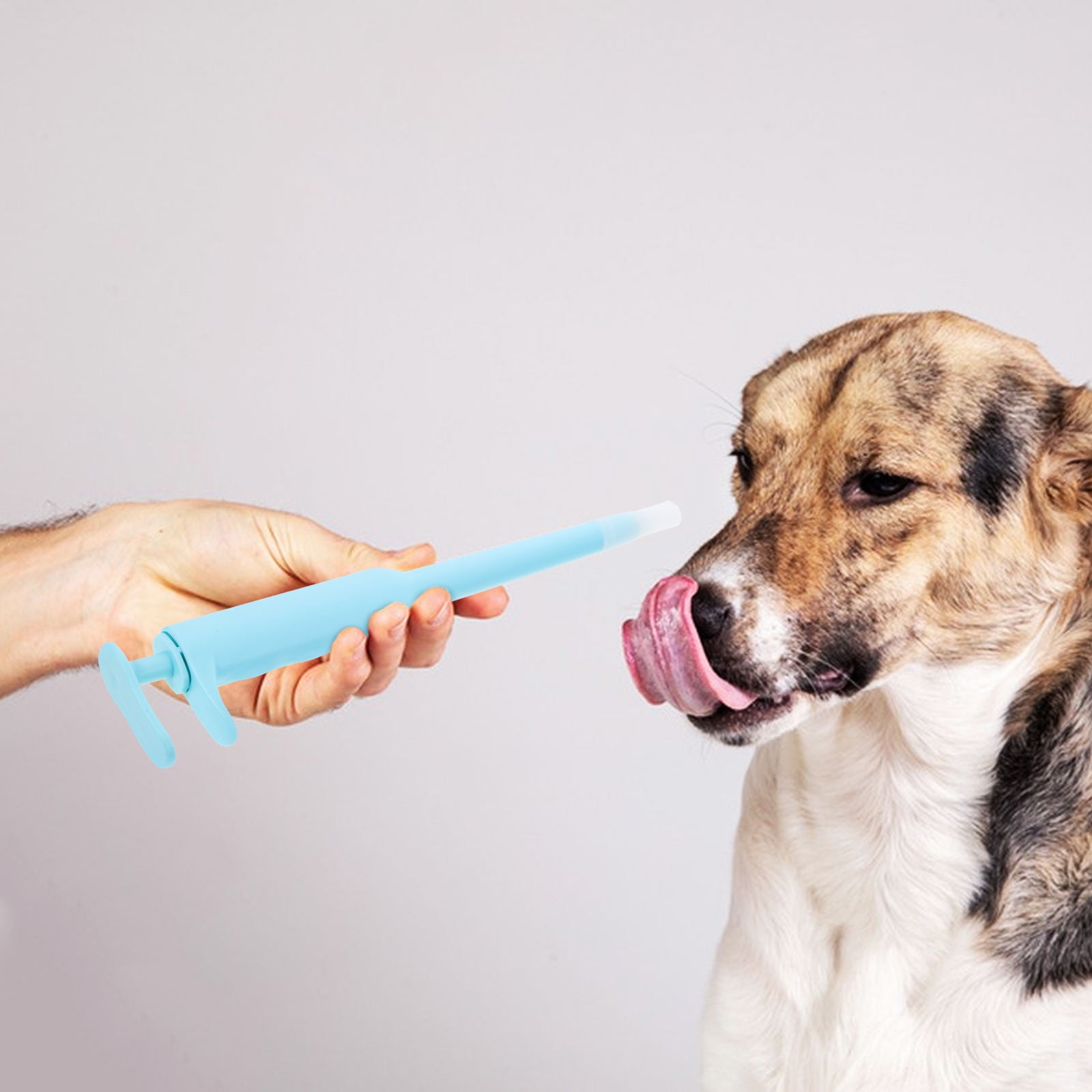 Raindrops Easy to Use Pet Medicine Shooter Tool for Cat Dose Dispensing ...