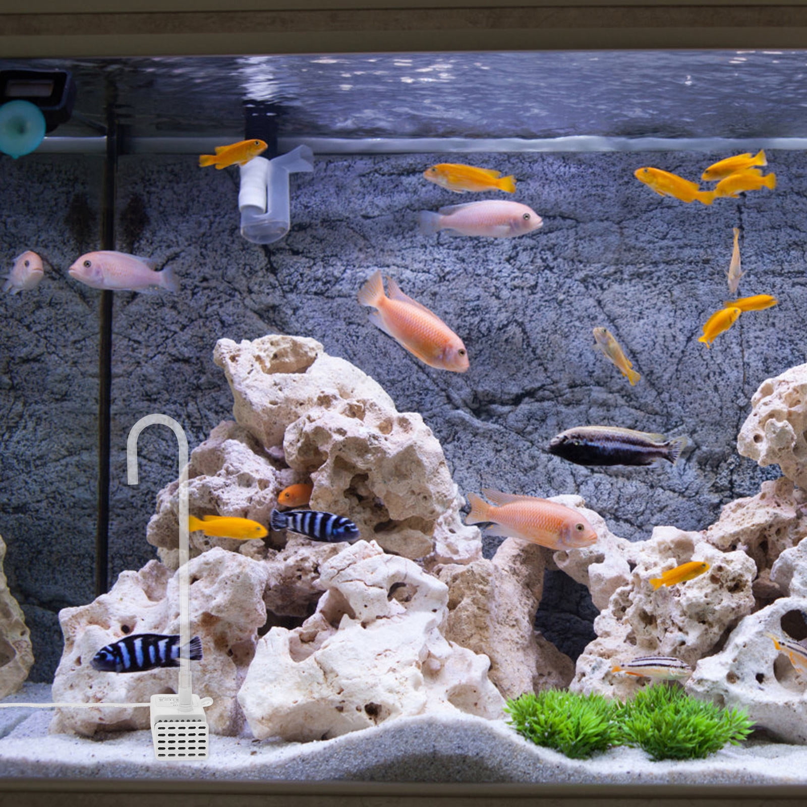 Stunning Small Tank Water Circulation Pumps image