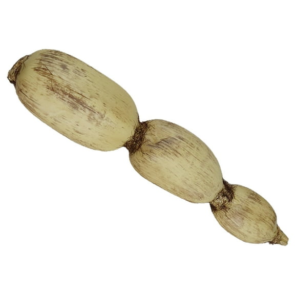 Raindrops Fake Lotus Root Model Plants Real Simulated Models Decoration