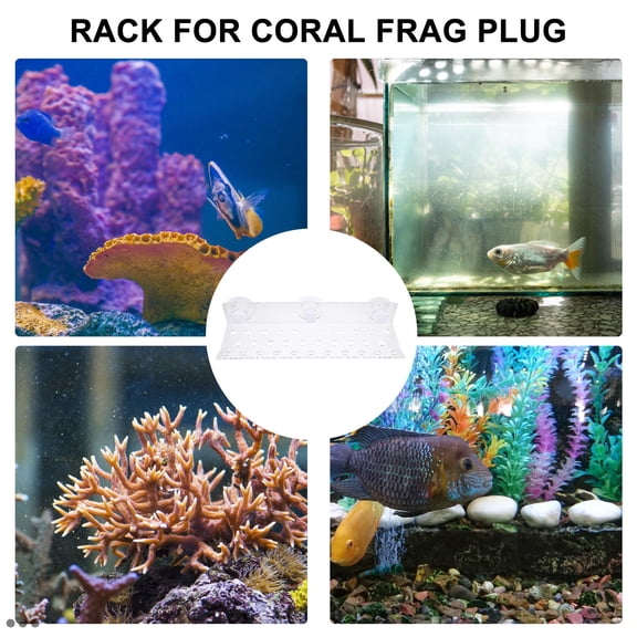 Raindrops Reef Rack Acrylic Coral Bracket for Fish Tank Coral Support and Display