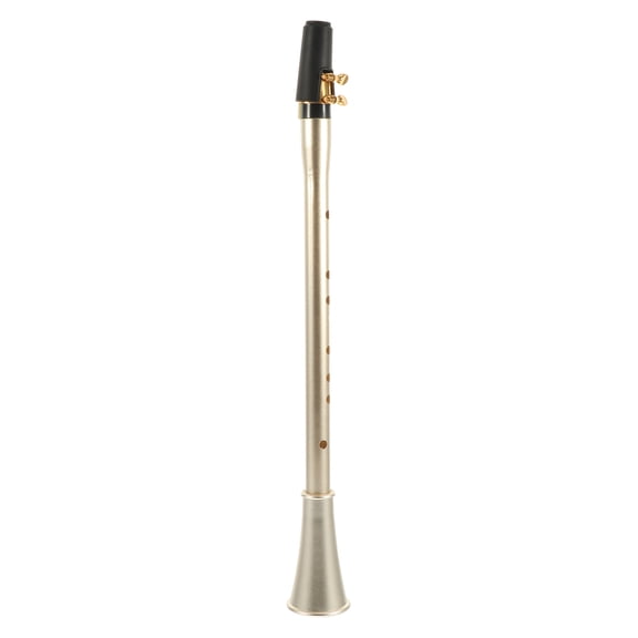 Raindrops Professional Practice Clarinet Golden Simple Instrument Lightweight with Excellent Sound