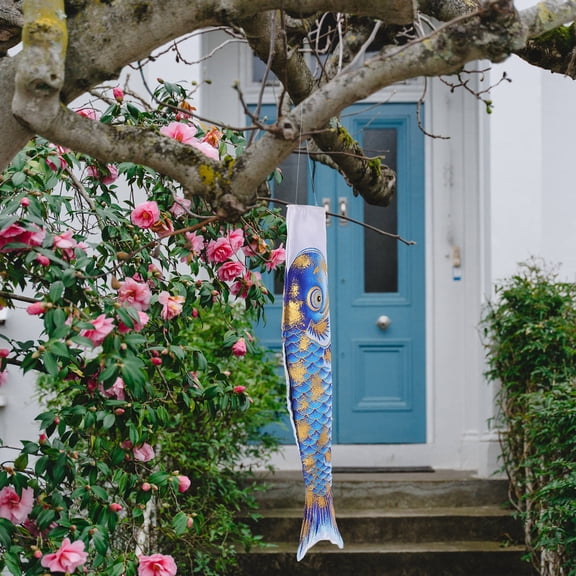 DEMACRIO Outdoor Decorative Carp Shaped Flag 1Pcs 19.7In