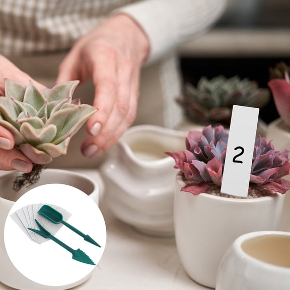 Raindrops Gardening Supplies Succulent Tool Set Green for Planting Needs