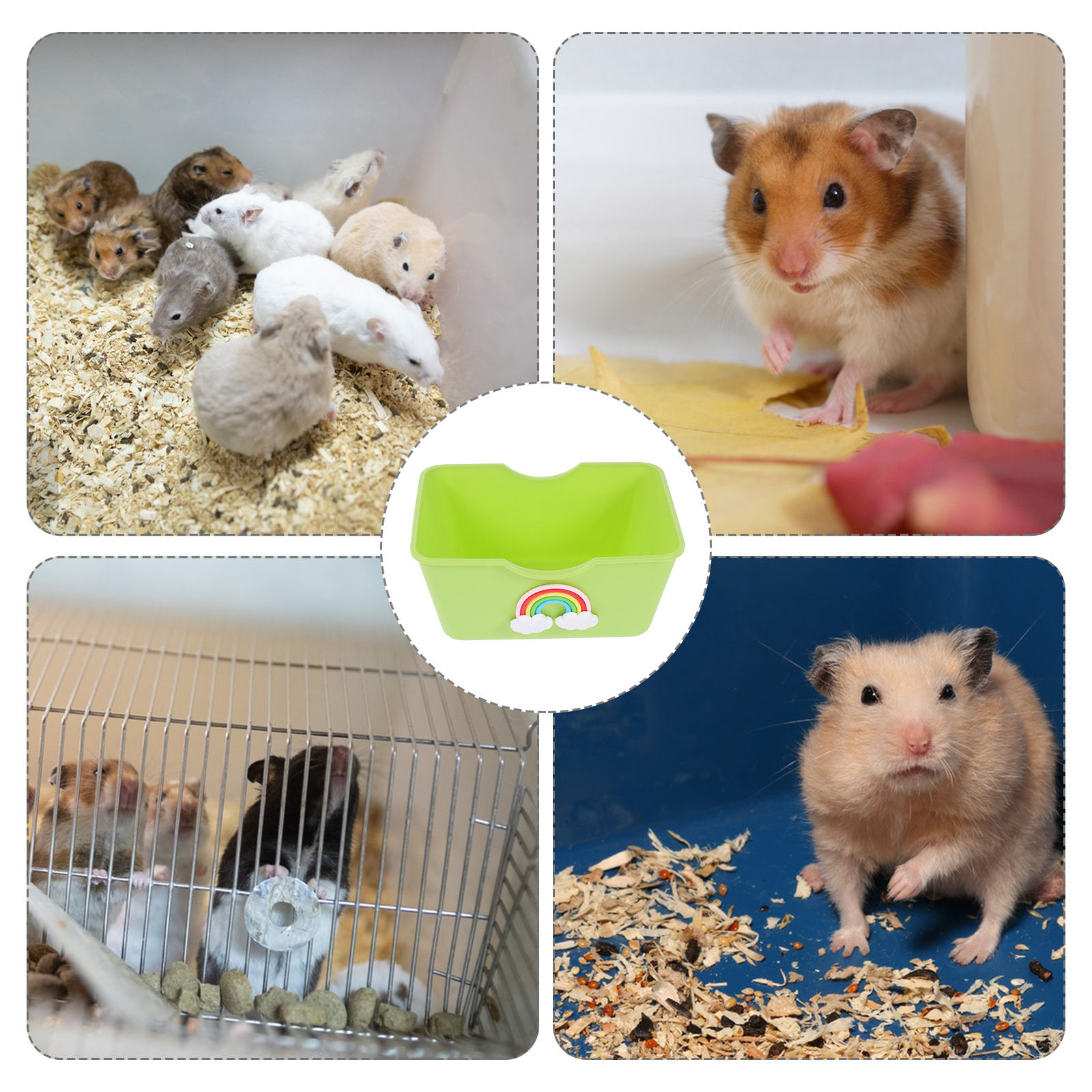 Beautiful view of Elevated Hamster Steps