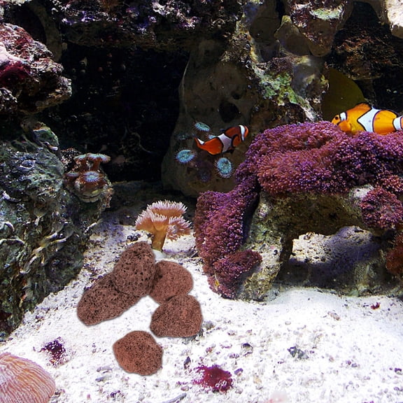 Raindrops Dark Brown Volcanic Aquarium Stone Porous Filter Media for Marine and Freshwater Use