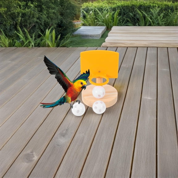 Raindrops Bird Interactive Toys Parrot Training Basketball Prop Plastic 1Set