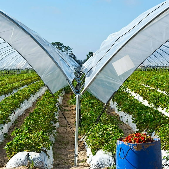 Raindrops Membrane Repair Tape Practical Tape Greenhouse Panes 10x10cm