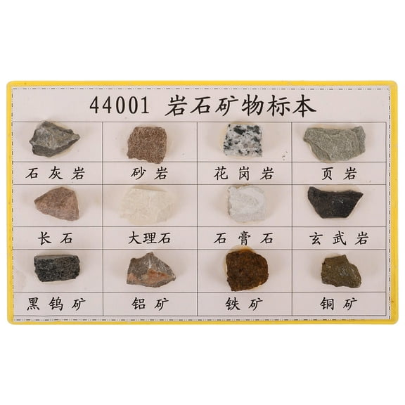 Raindrops Mineral Rock Specimen Kit for Geology Classroom Display with 12 Pieces Assorted Colors