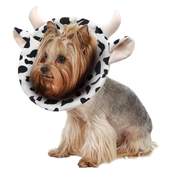 Raindrops Dog Recovery Collar Anti-Bite Soft Crystal Velvet PP Cotton for Pets