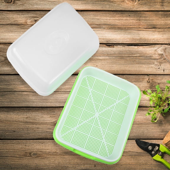Raindrops Plastic Germination Tray for Seed Sprouting and Storage, Assorted Colors, and Reusable Container