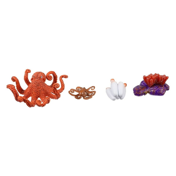 Raindrops Octopus Life Cycle Model Figurine Set, Plastic Simulation Educational Toy for Kids, Home Decor and Teaching Aid