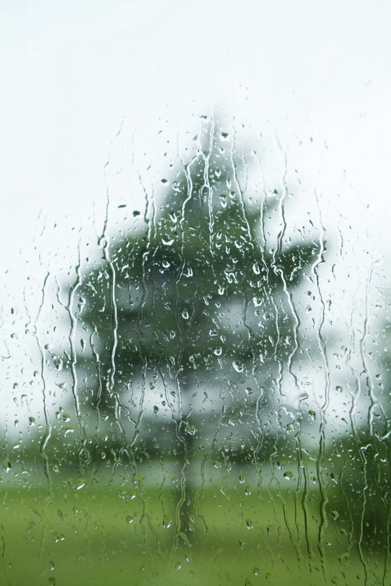Raindrops On The Window With A Tree Outside Thunder Bay Ontario Canada Canvas Art - Susan Dykstra Design Pics (13 x 19)