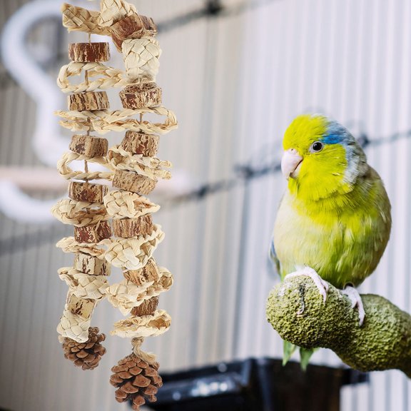 Raindrops Pet Plaything Parrot Chewing Toy Wood Novel Shape Foraging Fun 1 Set