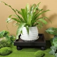 thumbnail image 1 of Raindrops  Plant Dolly with Wheels Drainage Flower Pot Tray Garden Stand, 1 of 8