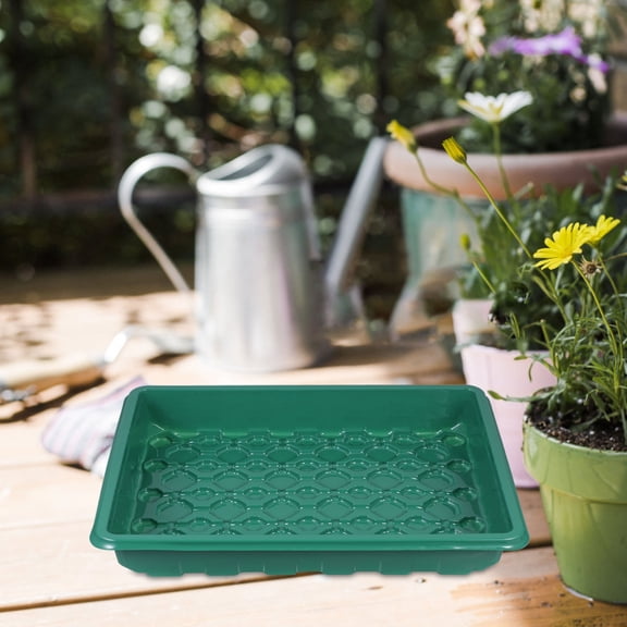 Raindrops Sprouter Tray All Experience Levels 1Pack 14.4X11X2.4In