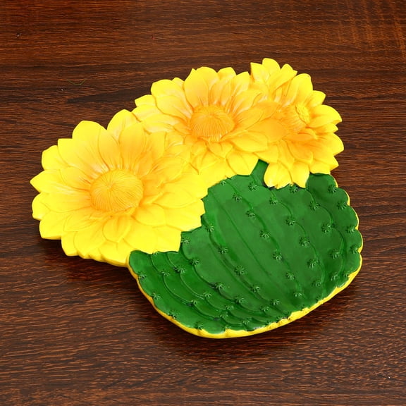 Raindrops Platters Serving Tray Colorful Cactus Storage Travel