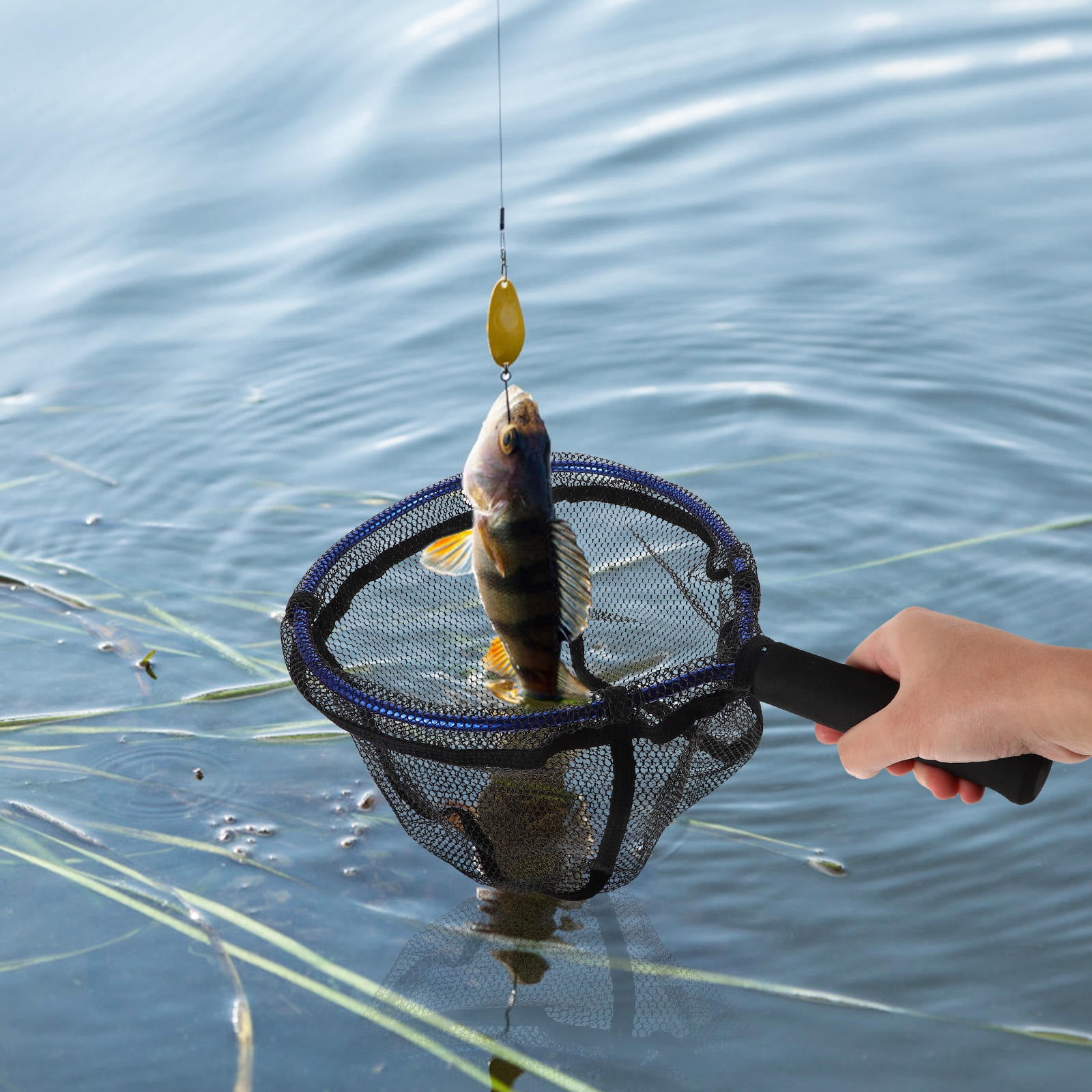 Spring Frame Trout Net Raindrops Portable Aluminum Alloy Frame Fishing Net 1 Set for Shrimping ...