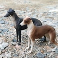 thumbnail image 1 of Raindrops Realistic Greyhound Toy for Kids Playing Vivid Plastic Animal Figure Toy Assorted Color 2 Pieces, 1 of 8