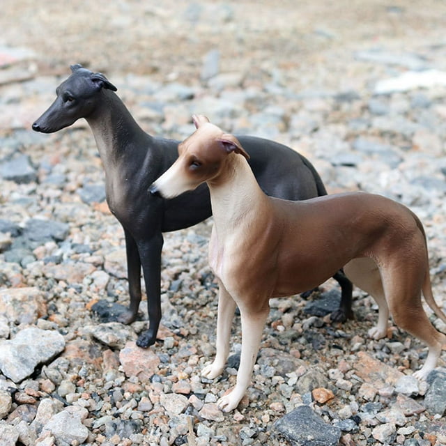Raindrops Realistic Greyhound Toy for Kids Playing Vivid Plastic Animal Figure Toy Assorted Color 2 Pieces