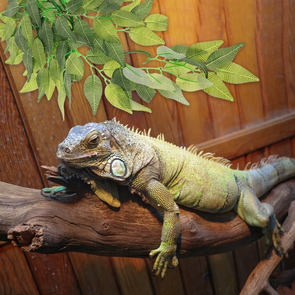 Raindrops Green ABS Reptile Climbing Vines for Terrariums, Easy to Install, Habitat Decoration