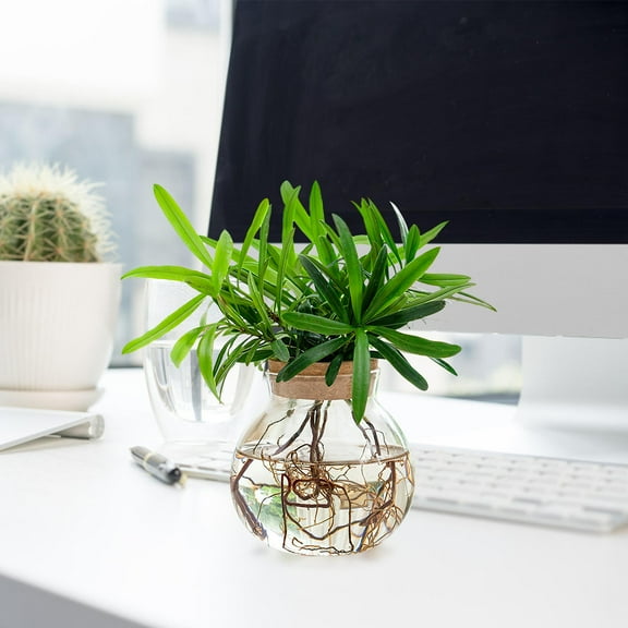 Raindrops Small Ball Vase Water Plants Propagation Bottle Aquatic Indoor Pots Transparent