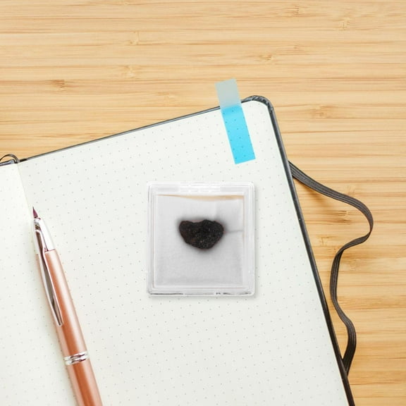 Raindrops Space Fan Rock Collection Gemstone Science Sample Dark Brown