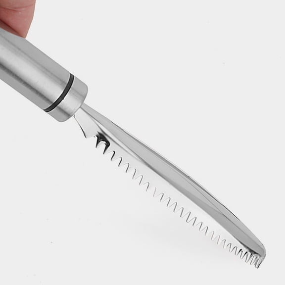 Raindrops Stainless Steel Fish Scaler with Comfortable Grip for Quick Scale Removal and Easy Cleaning Silver