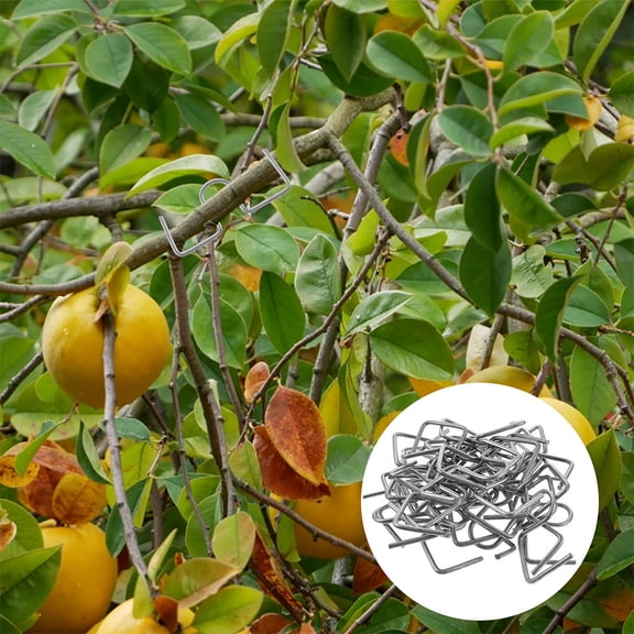 Raindrops Tie Stick Shaper Tree Limb Spreaders Puller Garden Plants Silver