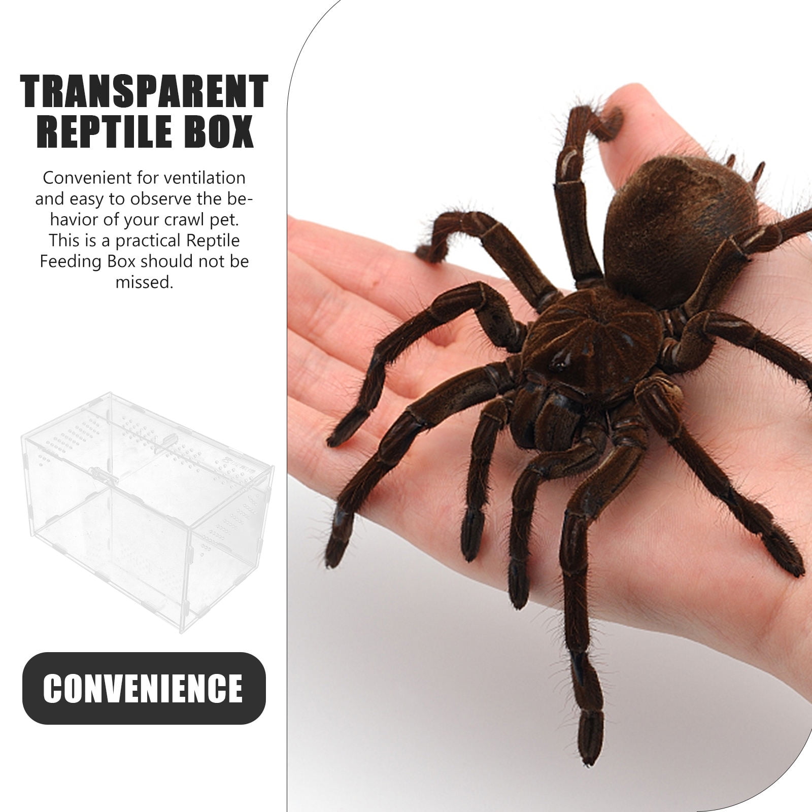Raindrops Transparent Acrylic Reptile Cage for Feeding and Breeding with Stable Ventilation .5x7.5x6 inches