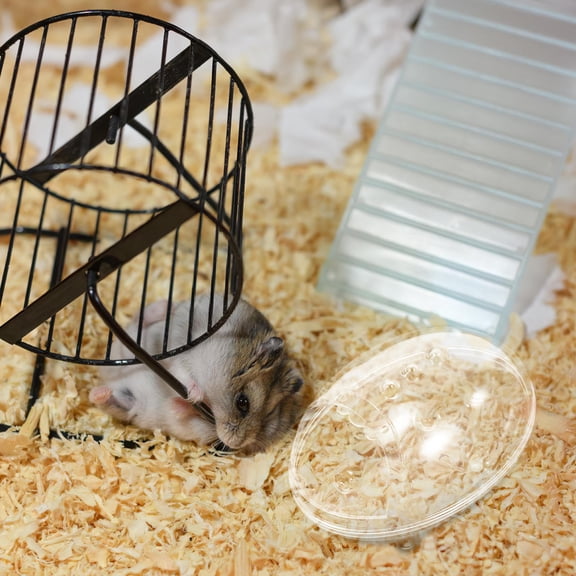 Raindrops Hamster Sand Bath Container with Clear Design for Bathing and Toilet Use