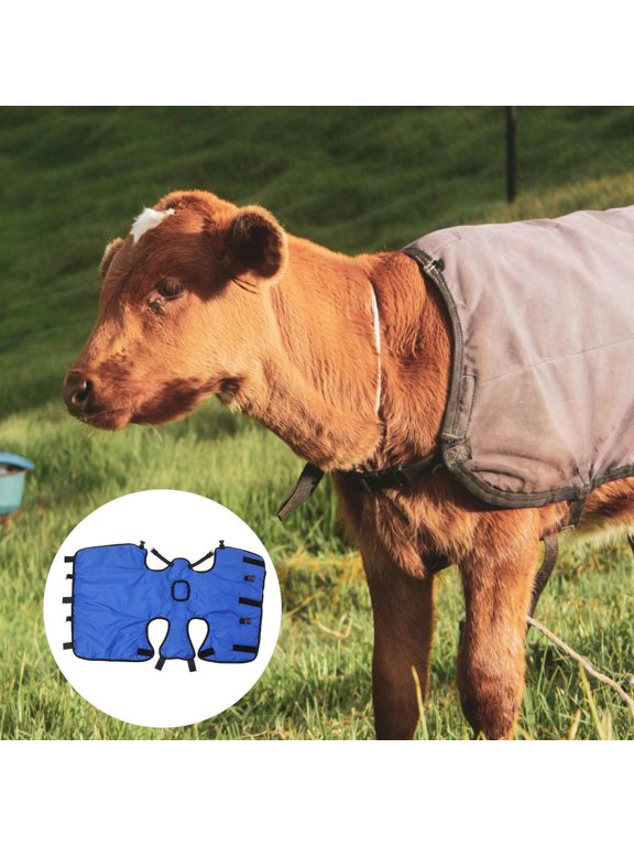 Calf Coat Waterproof Calf Jackets Blue 1Pack for Rainy Days