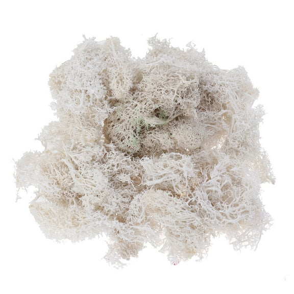 Raindrops Plants Fairy Garden Kit Artificial Moss Floral Containers White