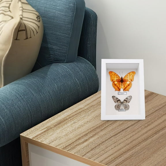 Raindrops White Wooden Display Frame for Specimens Photos and Keepsakes Box with Glass Window 4.75 x 6.38 inches