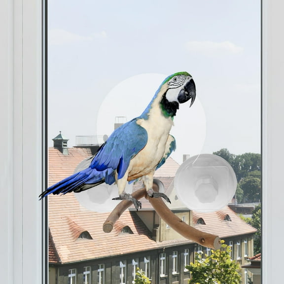 Raindrops  Window Branch for Birds Perches Parrot Swing Dark Travel