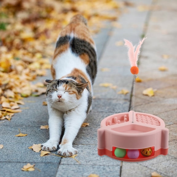 Raindrops Pink Cat Turntable Ball Toy - Interactive Playset for Cats, 1 Set