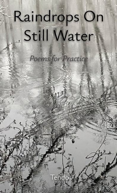 Raindrops on Still Water: Poems for Practice, (Paperback)